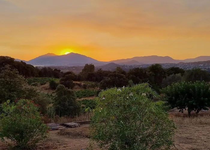 خيمة فخمة Forcone Cauro